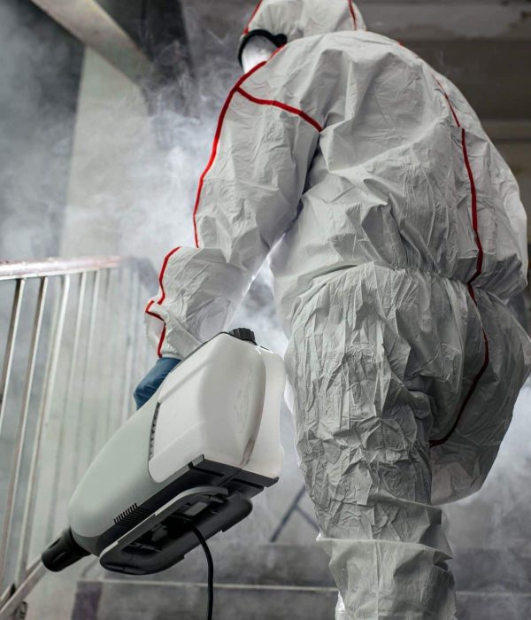mold-removal-1440w